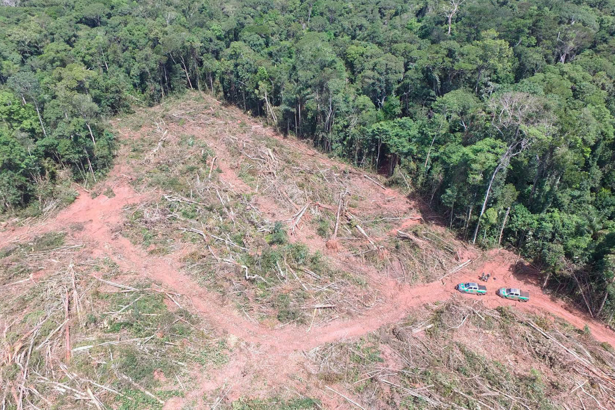 Agentes do Ibama realizam vistoria em propriedade rural no norte de Mato Grosso imagem sem descrição.