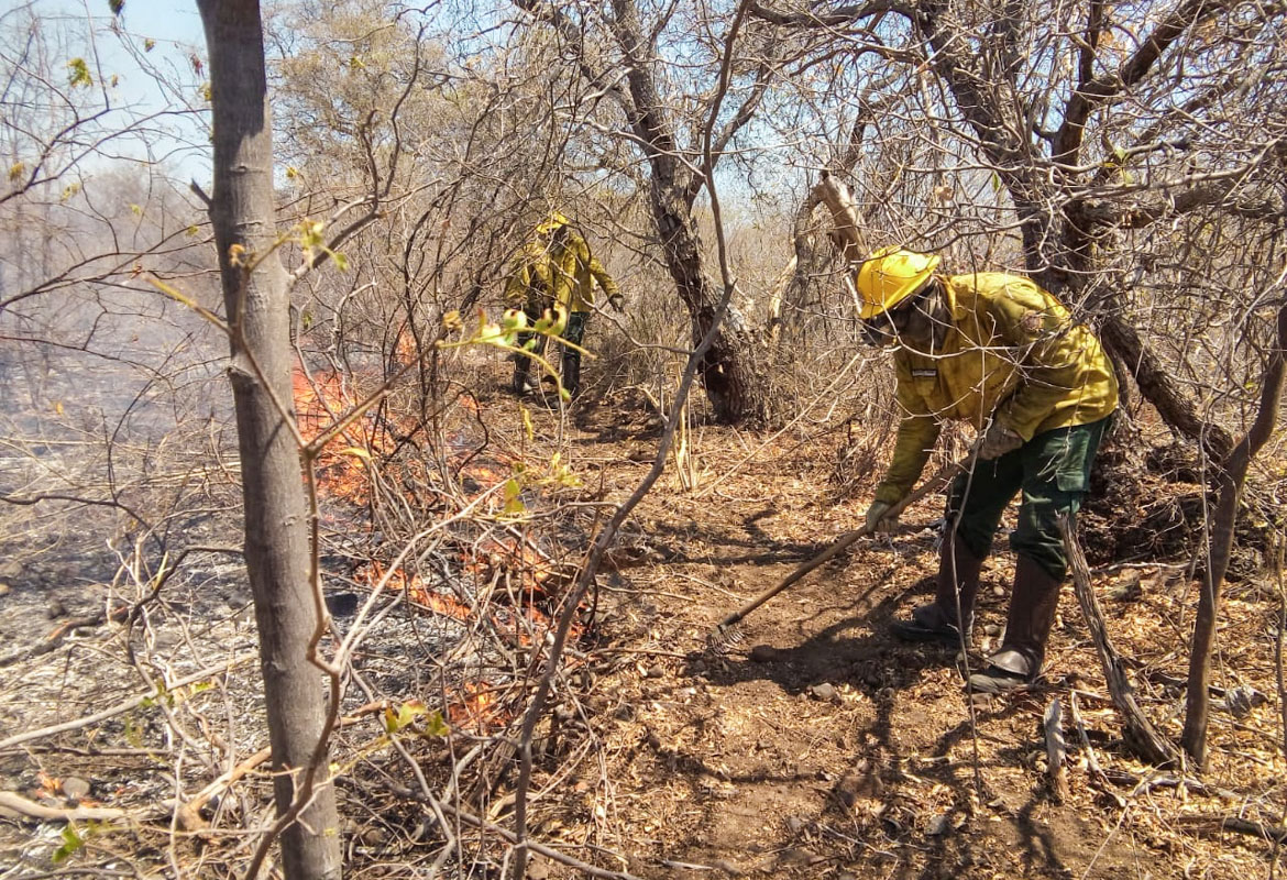Brigadistas do Prevfogo combatem incêndio florestal na caatinga. Foto: Ibama