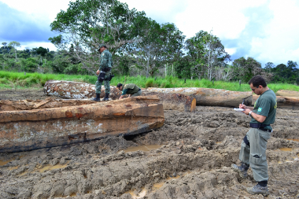 Operação de fiscalização verifica madeiras em toras | Terra Indígena Kaxarari/AM