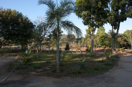 Jardim | Paisagem do Ibama-sede, em Brasília/DF